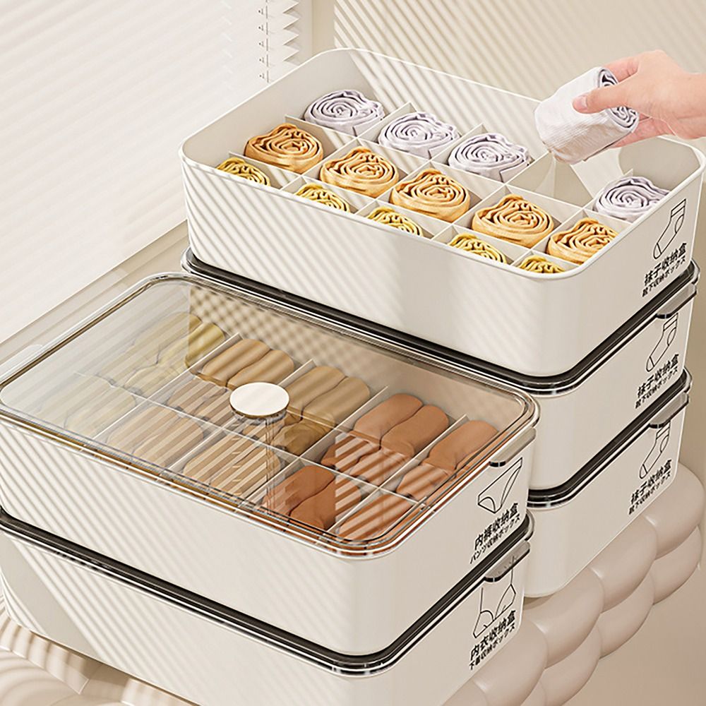 Scatola Porta Biancheria Intim - Sock Organizer Tray recensione e prezzo