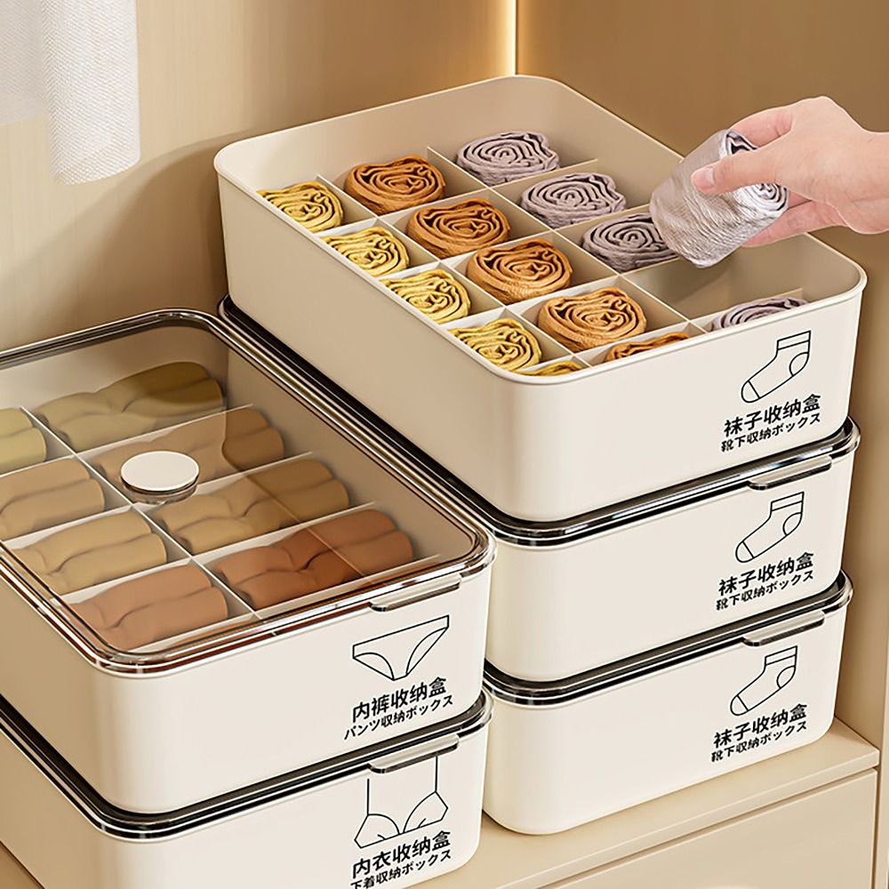 Scatola Porta Biancheria Intim - Sock Organizer Tray recensione e prezzo
